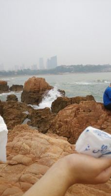 【携程攻略】青岛八大关图片,青岛八大关风景图片,八大关景点图片/图库