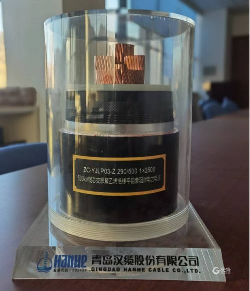 点赞 青岛两家企业产品获得2023年 泰山品质 认证