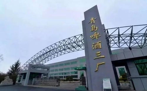 青岛人总说的几厂几厂啤酒,到底怎么区分的