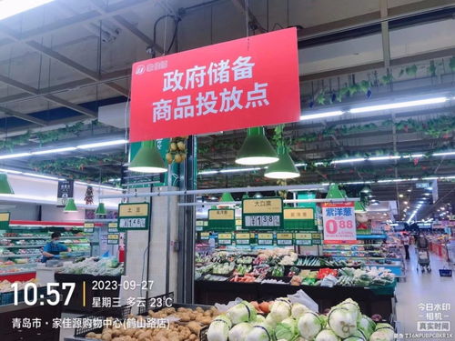 青岛1.25万吨政府储备商品投放市场,保障节日 菜篮子 拎得稳