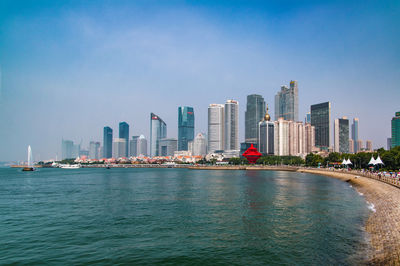 浒苔又来了!青岛已启动应急响应