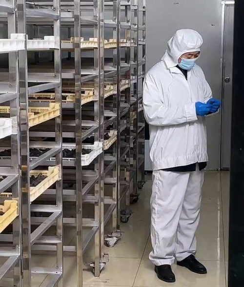 从海洋牧场到工厂,青岛老品牌用20年告诉你,海参应该这样做
