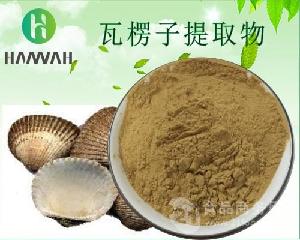 蛤壳 蛤壳价格 报价 蛤壳品牌厂家