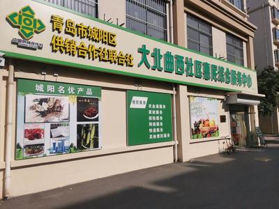 风口观察 从几近"关门"到年销售总额超180亿元,供销社"回归"的"青岛解法"