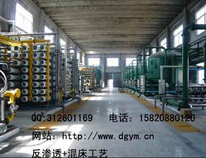 山东生物质热电厂化学除盐水处理系统工程设计安装价格 厂家 图片