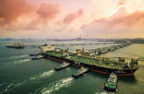 青岛将建国际大宗商品交割基地 山东港口2020全球石油贸易大会在青举行