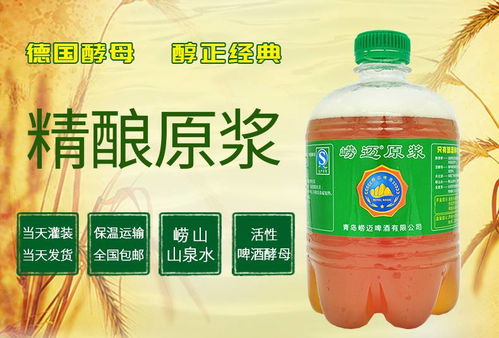 崂迈青岛特产原浆啤酒3斤生啤 扎啤全麦精酿活酵母鲜啤大桶装