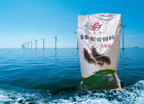 青岛裕丰水产专业生产海参饲料 石斑鱼饲料,水产饲料,鲍鱼饲料