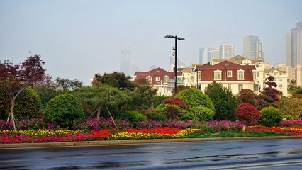 青岛市南:推进生态大花园建设